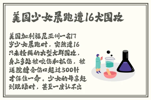 三 电视剧开心见梦